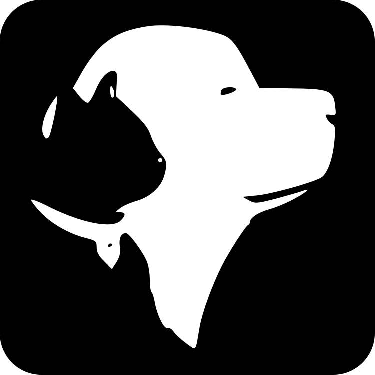 Petnir